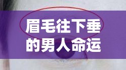 飞燕化龙 第2页