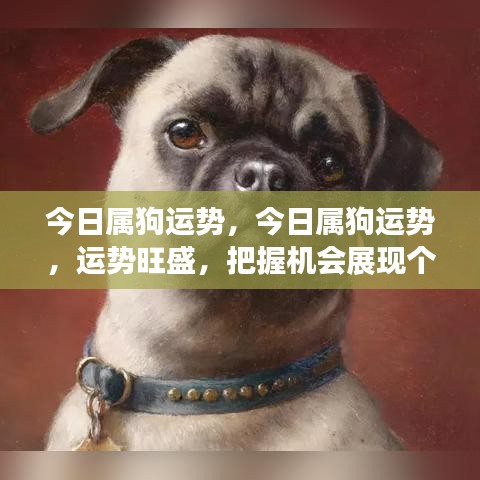 百不得一 第2页