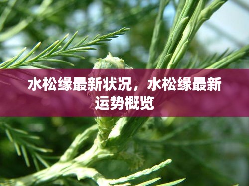 集腋成裘 第2页
