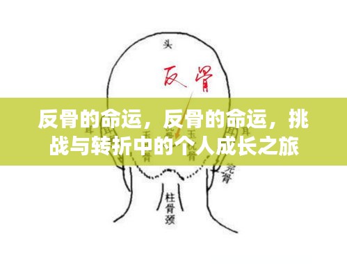 束装就道 第2页