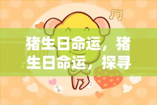 生肖猪的吉祥人生轨迹，探寻猪生日命运与吉祥人生之路
