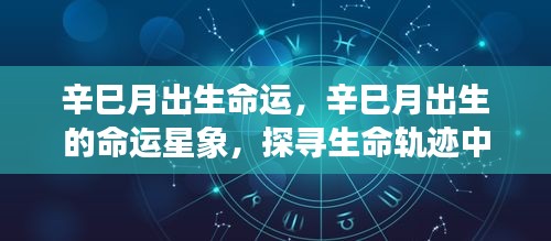 朴实无华