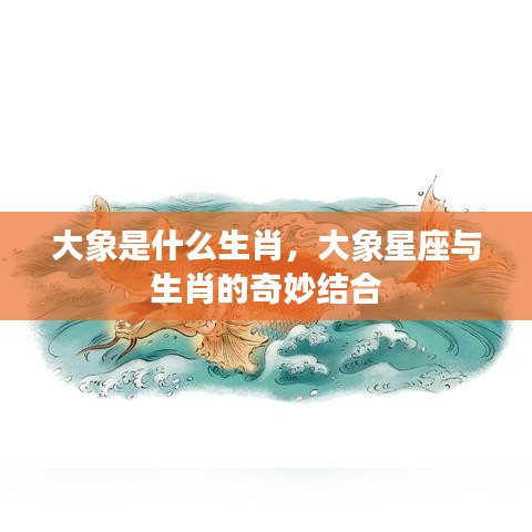 大象星座与生肖的奥秘结合探索