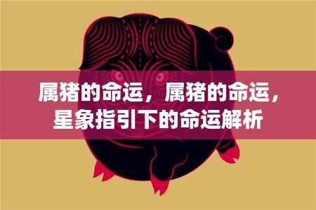 衣不重采 第2页
