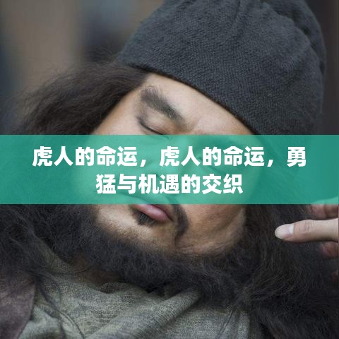 解签 第51页