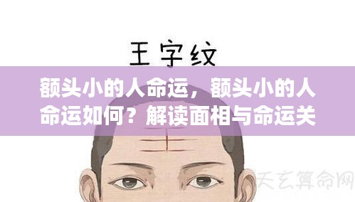 额头小的人命运解析，面相与命运之间的神秘关联