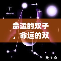 彬彬有礼