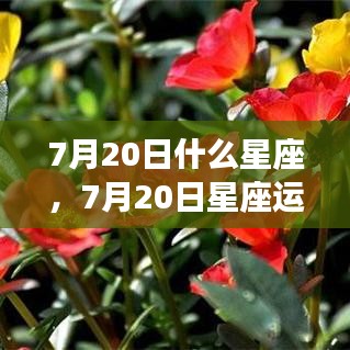太阳魅力下的星座运势，揭秘7月20日星座运势与星座魅力解析