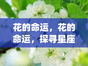 炊粱跨卫 第2页