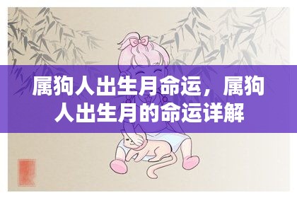 属狗人出生月命运详解，揭示不同月份出生的属狗人性格与命运特点
