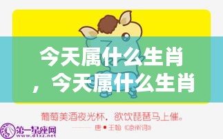 今日生肖运势揭秘，全面解析今日生肖运势！