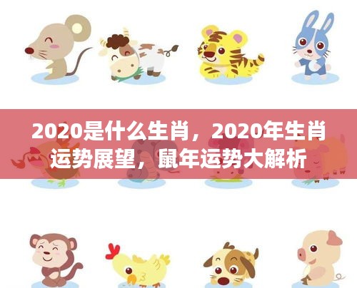 走马观花 第2页