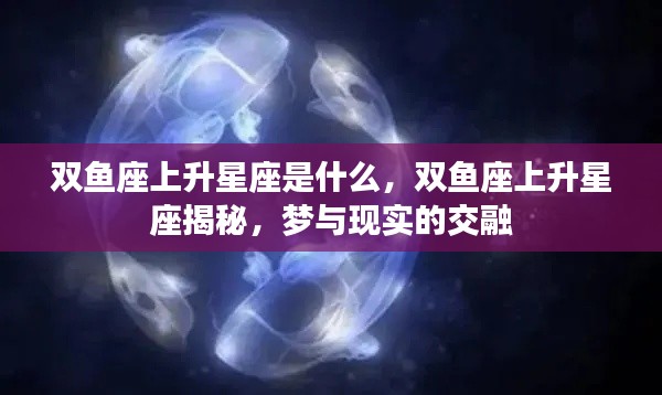 不飞则已 第2页