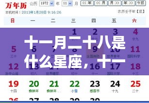十一月二十八日星座运势解析及特点概览