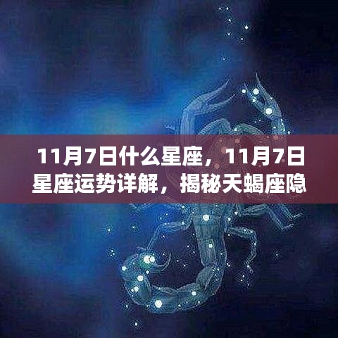 揭秘天蝎座，11月7日星座运势与神秘魅力深度解析