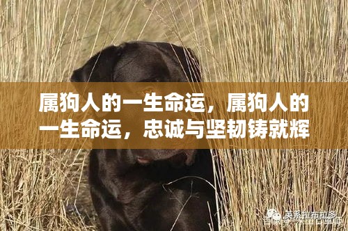 艰苦卓绝 第2页