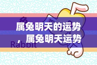 属兔明日运势大揭秘，明日运势展望