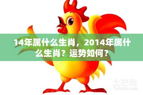 2014年属马人的运势解析与生肖特点