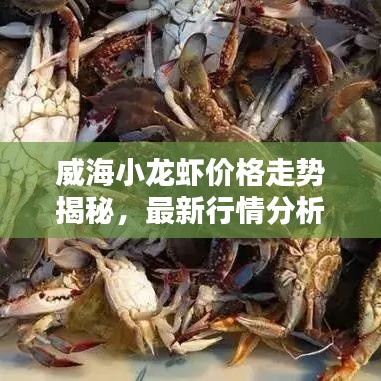 急就章 第2页