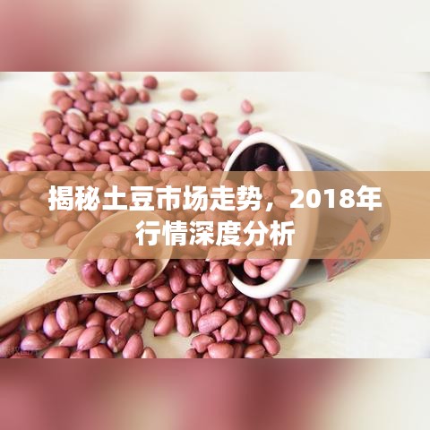 衣不兼采 第2页