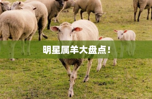 攀高结贵 第2页