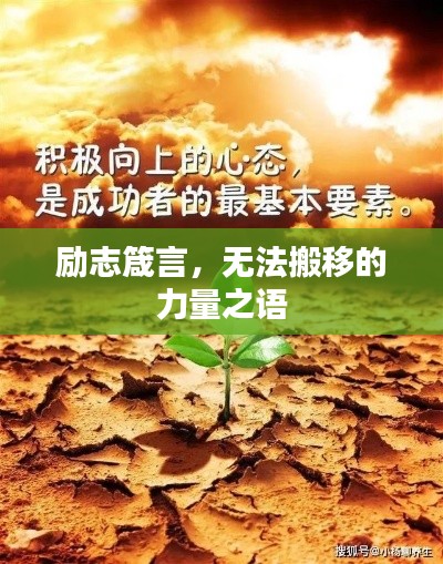 因陋就简 第2页