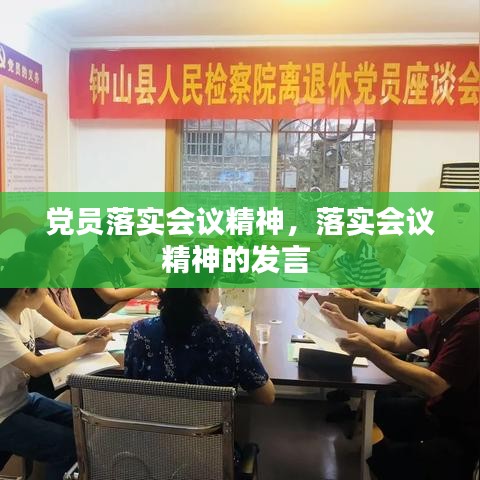 党员落实会议精神，落实会议精神的发言 