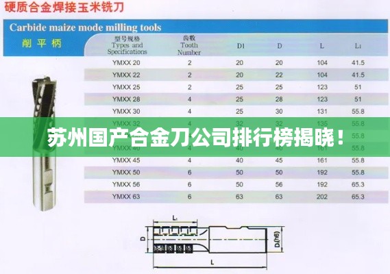 森久 第2页