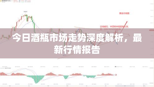 今日酒瓶市场走势深度解析，最新行情报告