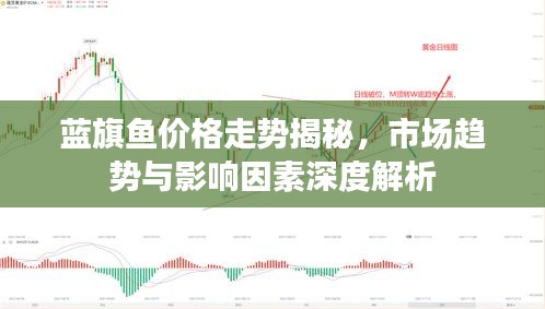 蓝旗鱼价格走势揭秘，市场趋势与影响因素深度解析
