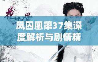 凤囚凰第37集深度解析与剧情精彩回顾