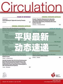 平舆最新动态速递，今日热点消息一网打尽