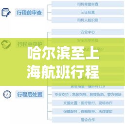 哈尔滨至上海航班行程攻略，一站式服务，让你轻松出行