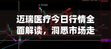 迈瑞医疗今日行情全面解读，洞悉市场走势，把握投资机会