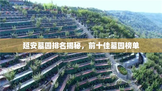 起名 第17页