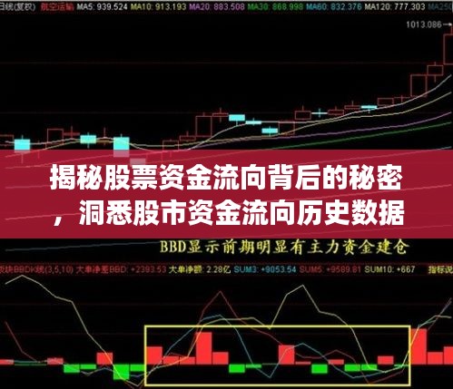 揭秘股票资金流向背后的秘密，洞悉股市资金流向历史数据！