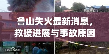 鲁山失火最新消息，救援进展与事故原因调查同步推进，视频曝光引关注