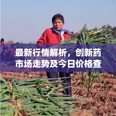 最新行情解析，创新药市场走势及今日价格查询