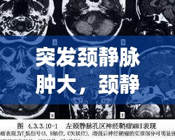 就楼磨刀
