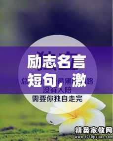铁石心肠