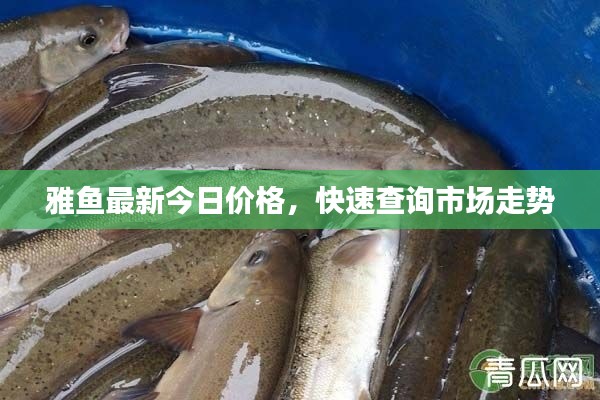 配对 第12页