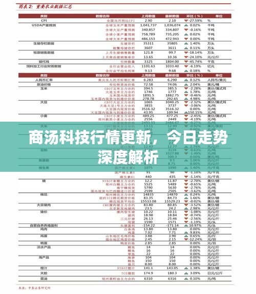 粗枝大叶