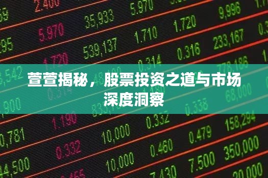 萱萱揭秘，股票投资之道与市场深度洞察
