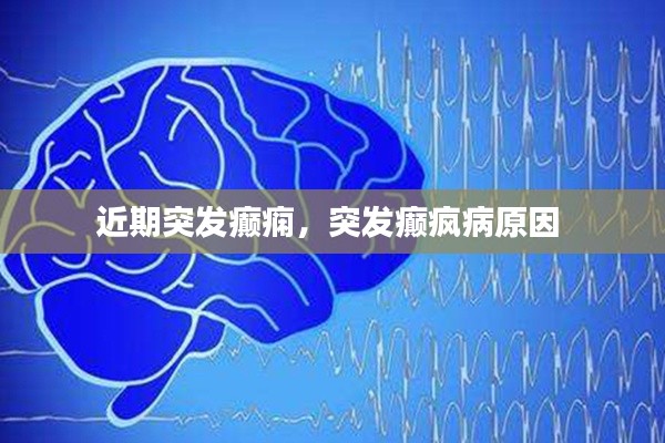 星座 第8页