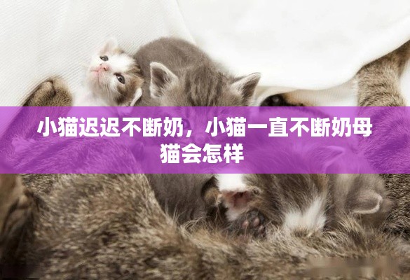 学而不厌