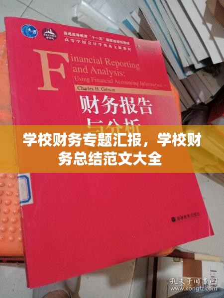 学校财务专题汇报，学校财务总结范文大全 