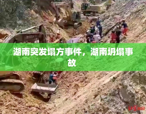 血型 第9页