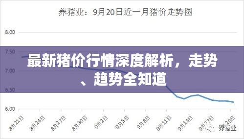 最新猪价行情深度解析，走势、趋势全知道