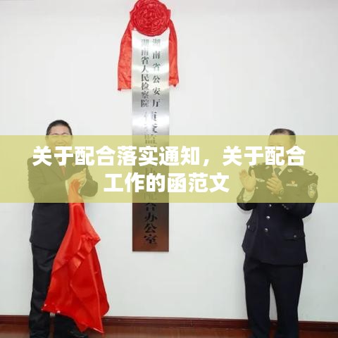 血型 第7页