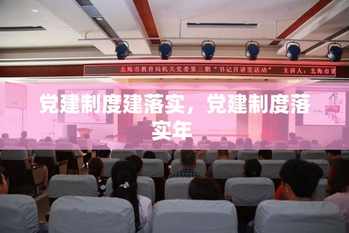 党建制度建落实，党建制度落实年 